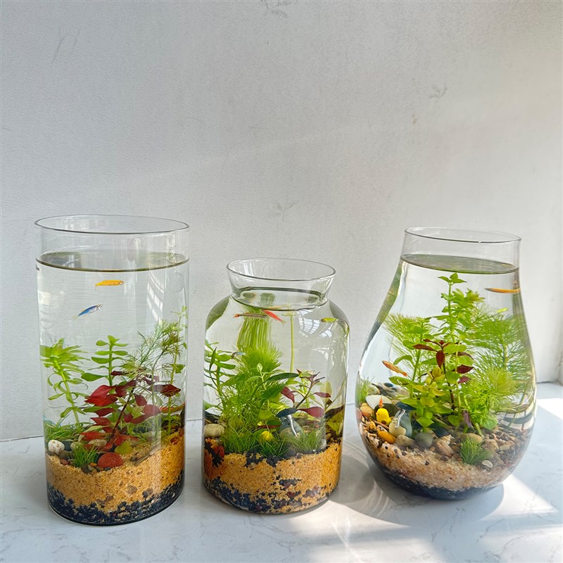 生态瓶带灯水草小鱼缸办公桌面微景观diy创意情侣礼物小虾缸微缸