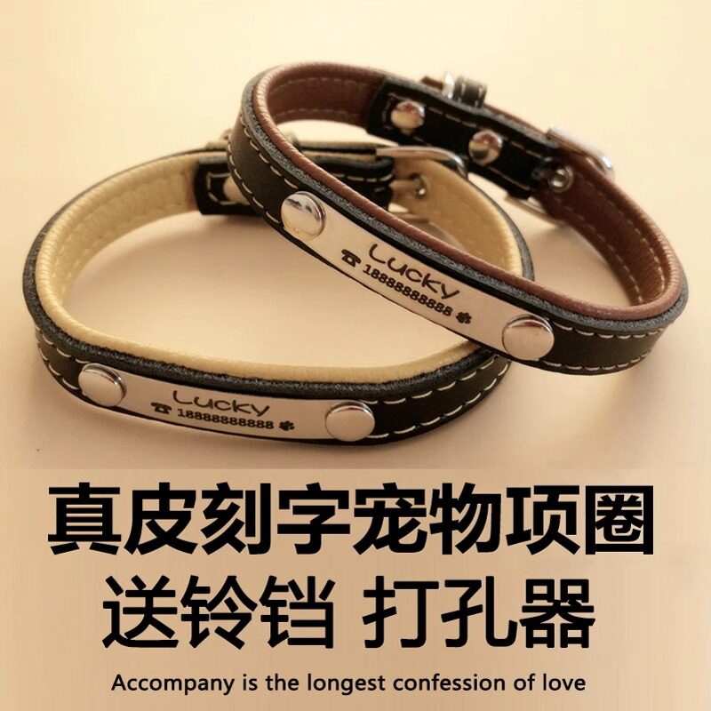 牛皮刻字猫牌项圈定做防丢身份牌金毛泰迪可爱宠物调节颈脖套铃铛