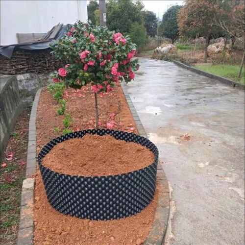 植物控根器厂家直销控根器塑料围槟榔树植树控根器专用围树板园林