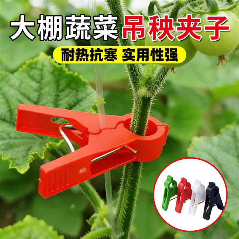 大棚专用吊秧夹番茄黄瓜绑蔓夹西葫芦扶蔓夹蔬菜吊蔓夹子耐用抗造