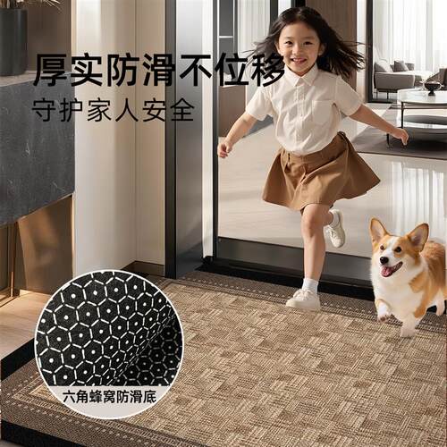 高级入户门地垫进门地毯门口脚垫轻奢新款门垫耐脏定制免洗可裁剪