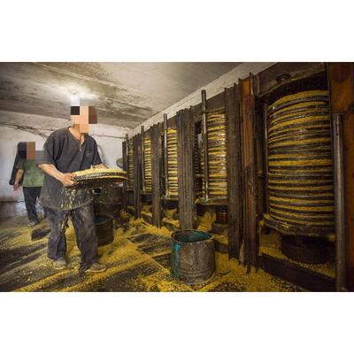饼钩窝悟整块16斤整张钓鱼打豆饼肥豆粕鱼饵草鲤鲫鱼水库野钓钓具