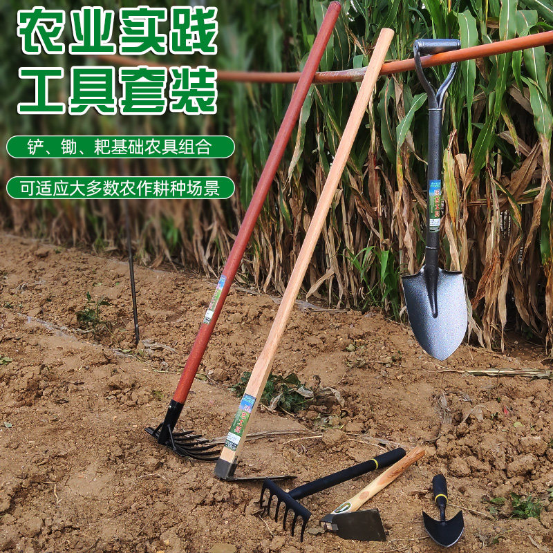 农用工具种植套装铁锹锄头铲子农业实践学生教育劳动大全家用种菜