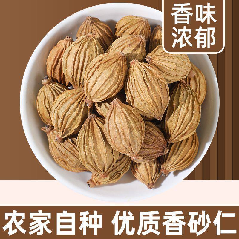 正宗砂仁四川香砂仁香料砂仁卤料卤肉卤菜农家自种香味浓郁批发