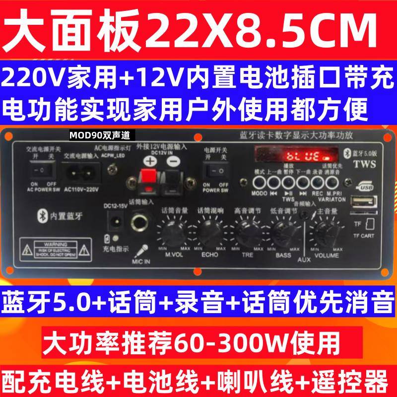 全新大面板22X8.5CM双声道充电内置12V电池插口兼容家用电压功放