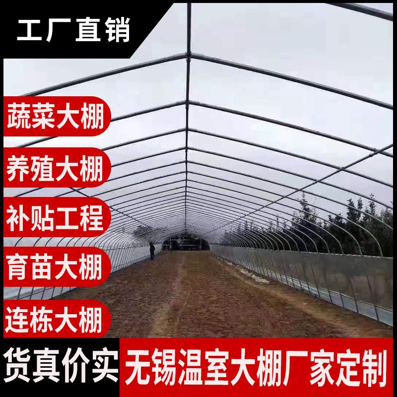 温室钢管大棚骨架养殖种植暖棚全套猪鸡舍钢架组装简易蔬菜棚连栋