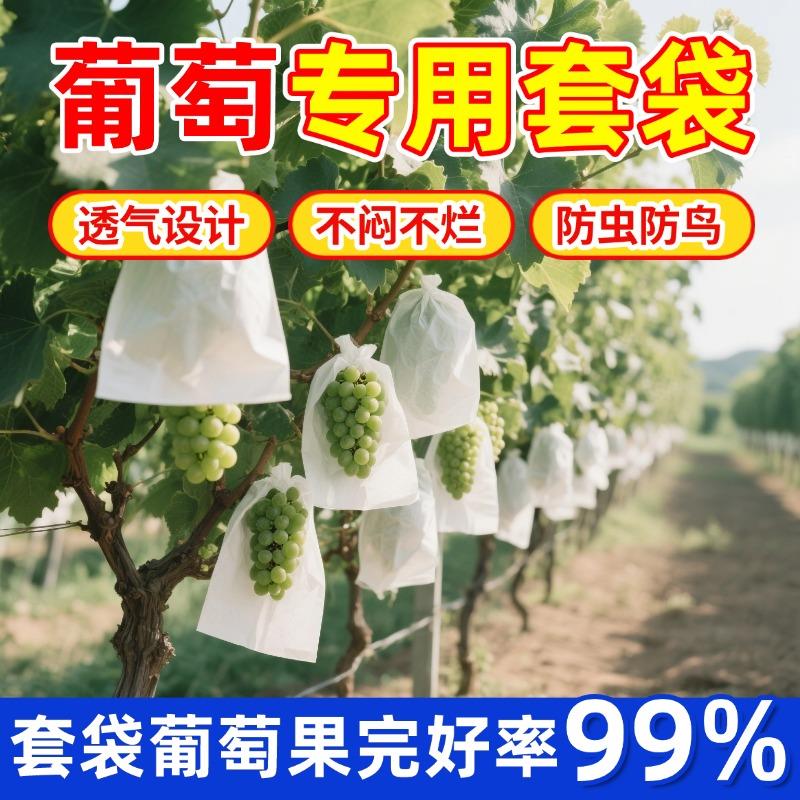 葡萄套袋专用袋半透明袋子莲雾保护防虫雨防鸟包果袋纸袋透气水果