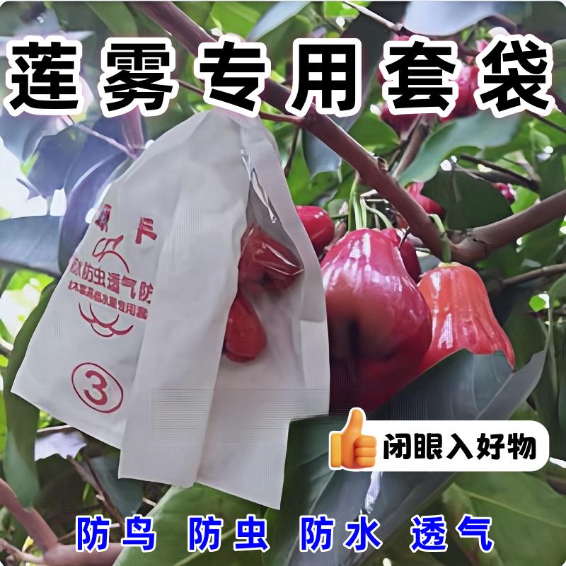 加厚莲雾套袋金刚莲雾侧开窗套袋防虫防鸟荔枝释迦鸡蛋果杨桃套袋