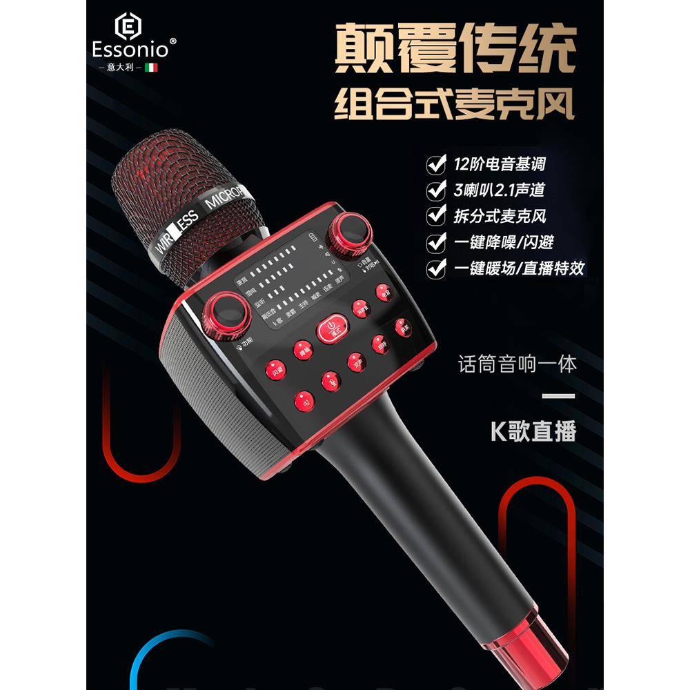 ESSONIO话筒音响一体麦克风蓝牙无线 线款高端可拆卸K歌神器家用