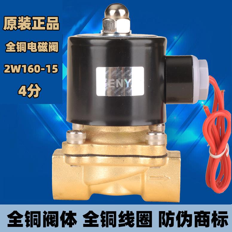 2W160-15电磁阀水阀AC220V控制阀开关12V DC24V货车淋水阀4分DN15