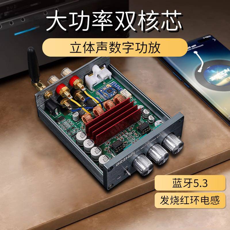 BL53A大功率双核芯TPA3116数字功放机hifi家用重低音蓝牙5.3