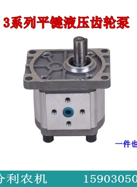 306/310/314/316/320/325平键齿轮L泵电机直插式液压油泵单键油泵