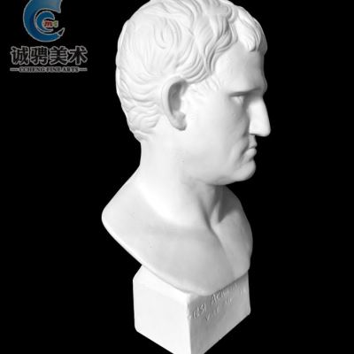 极速阿格里巴石膏像美术静物模型石膏教具用品摆件V阿格里巴石膏