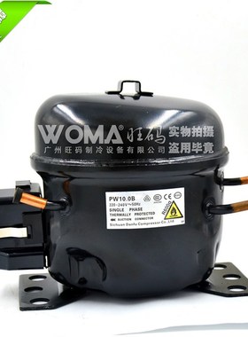 极速甫PbW10.环B冰箱冷柜A氟R600R无制冷0保压缩机