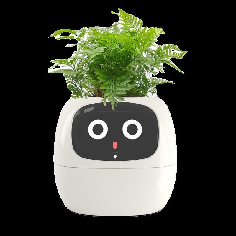 IVY植物萌宠机器人 IVY智能花盆 英文版
