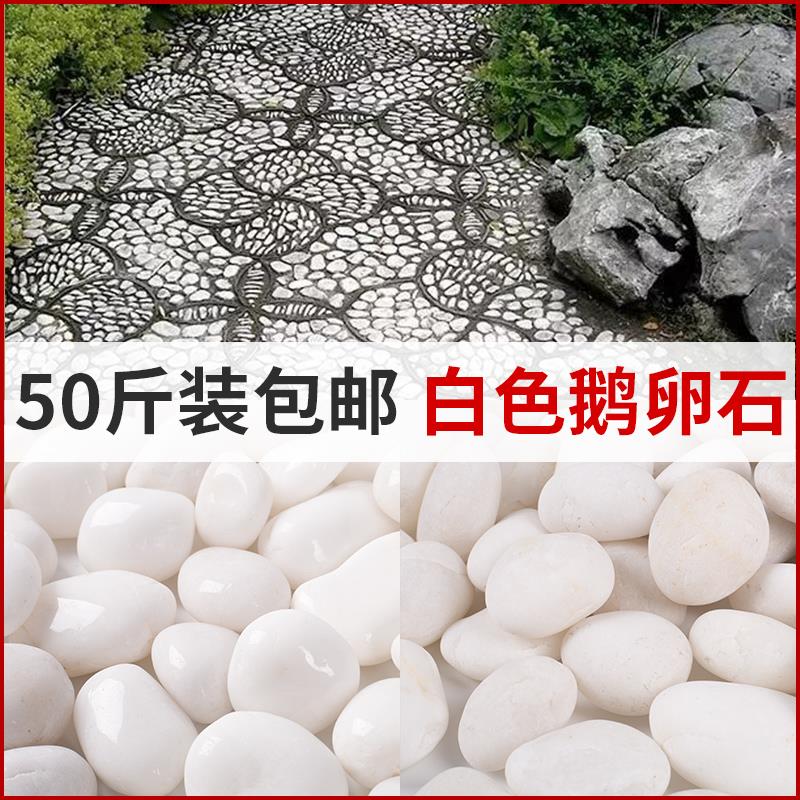 天然白色鹅卵石庭院园林造景精抛光汉白玉适用于装修铺路