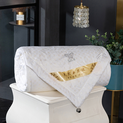 蚕丝被100%桑蚕丝全棉夏凉被双人可机洗纯棉空调T被儿童薄被子春