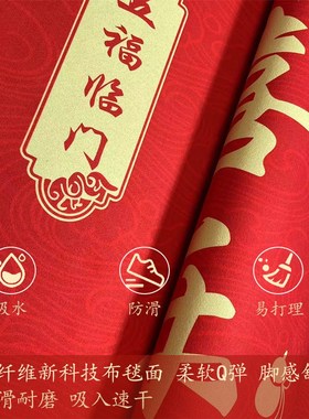 红色入户门e地垫进门门口门垫进户入户免洗可擦硅藻泥防滑地毯脚