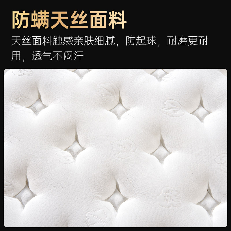 席梦思弹簧床垫软垫夏季酒店租房专用椰棕硬1.5Mm1.8米20cm厚床垫