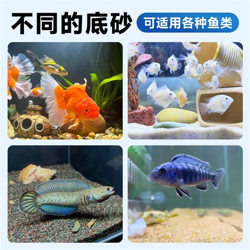 鱼缸造景底砂石摆件溪流石火山石木纹F石头龟缸装饰南美棕砂溪流