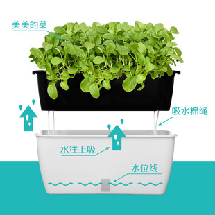 自动吸水盆懒人盆k种菜神器家庭阳台长方形塑料种植箱花盆2021新