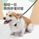 狗狗牵引绳金毛遛狗绳子p绳p链大中小型犬M链子防爆冲柯基幼犬用