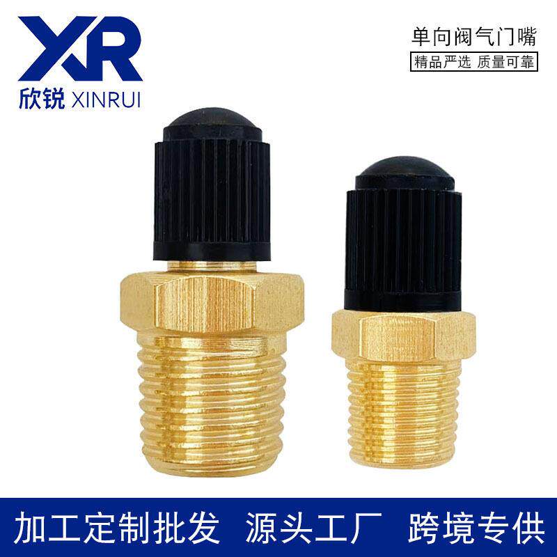 汽车改装气门嘴膨胀水箱空气压缩机压力黄铜嘴1/4NPT气门嘴