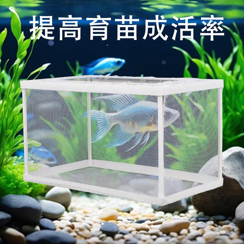 隔离孵化网鱼缸水族箱隔离网繁殖孵化盒漂浮热带鱼繁殖箱孵化器
