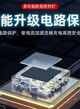 【黑坑】光京功港夜灯炮加强版黑坑蓝CBO黄钓大率专用钓