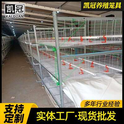 框蛋架鸡笼养层殖场叠式鸡子H型鸡笼工业笼自动化养鸡NBI设备