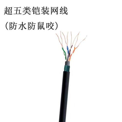 源头工厂防鼠咬超五类铠装网线防水铠装六类网线免穿孔网络线按箱
