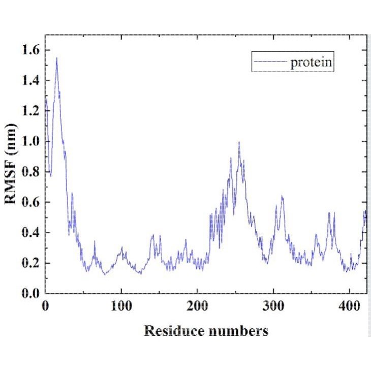 vina分子对接可视化 AlphaFold2/3预测 GROMACS分子动力学模拟