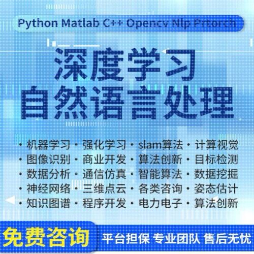 python代编程机器深度学习代码接单调试跑通神经网络知识图谱图像