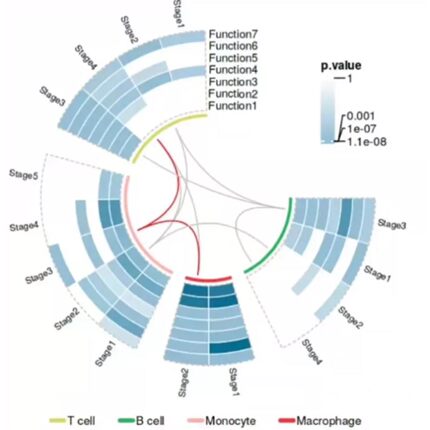rstudio代做R语言辅导python写代码shiny可视化java编程r机器学习