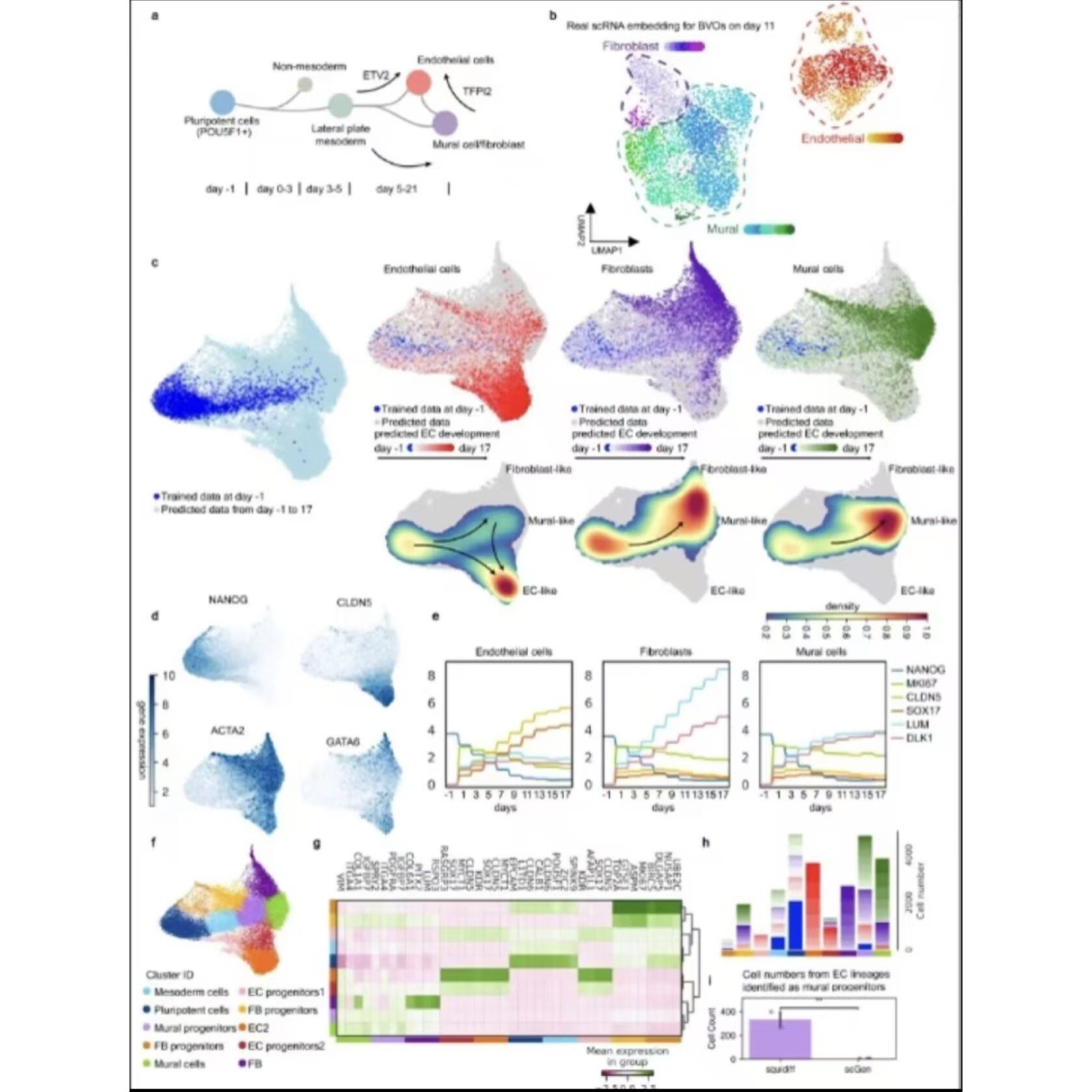 GWAS 全基因组关联分析群体结构进化树曼哈顿图 QQ 图 PCA BSA 绘