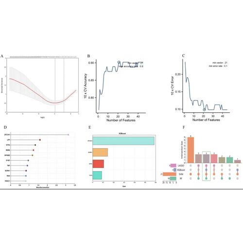 Meta数据分析LASSO回归免疫微环境ceRNA网络构建ROC曲线Nomogram