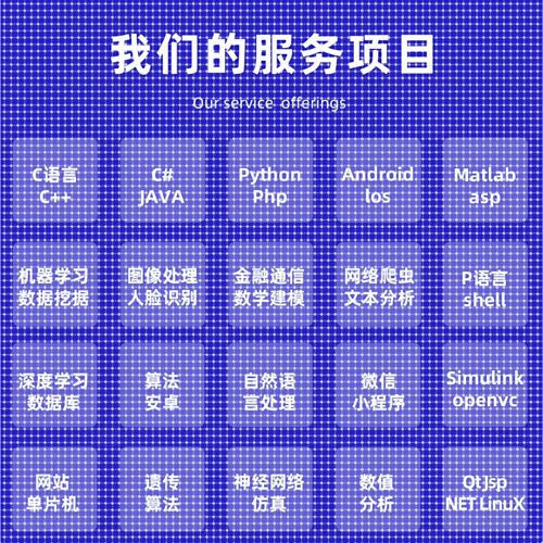 python代编程matlab深度学习C++C语言php代码定制程序代写javaC#