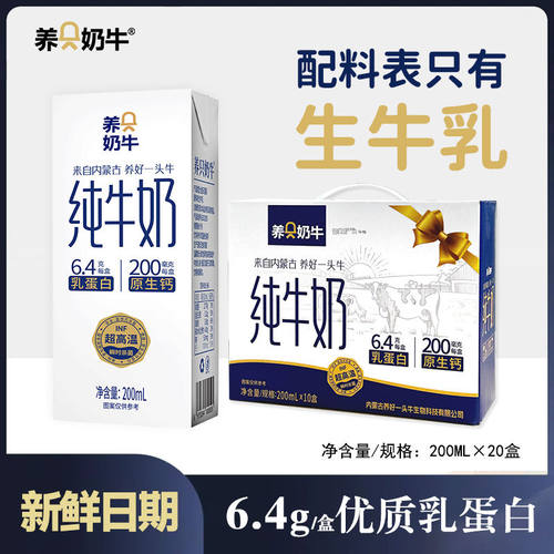 养只奶牛纯牛奶3.2g原生蛋白200ml咖啡学生成人营养早餐纯奶整箱