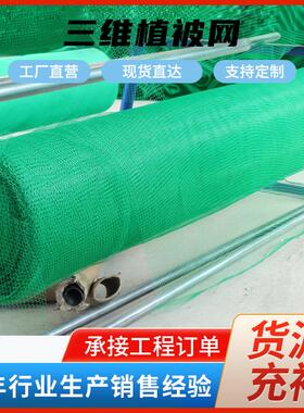 护坡用绿色塑料三维植被网 EM3土工网垫河道护坡加筋三维植草网