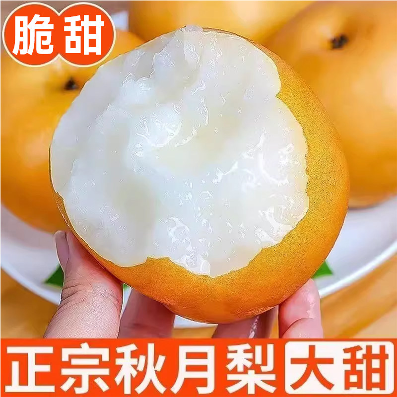 【脆甜】正宗山东秋月梨新鲜梨子当季水果现摘雪蜜梨一整箱包邮