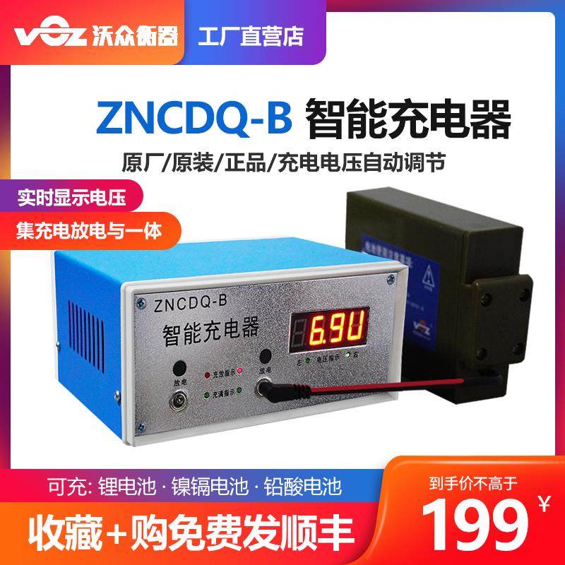 电子吊秤智能充电器 ZNCDQ-1-B型吊磅秤体电池充电机 圆孔6V 7.2V,五金/工具,电子秤/电子天平,淘宝优惠券,粉丝福利购,淘宝优惠卷