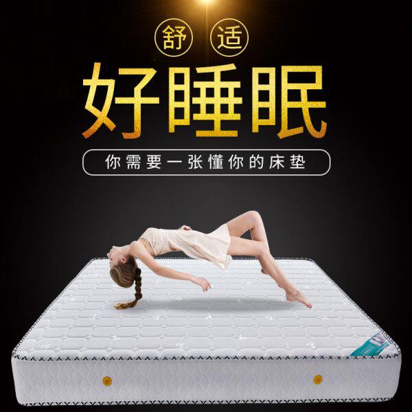 城南林居椰棕床垫棕垫1.81.5米软硬适中棕榈床垫席梦思床垫伴价购