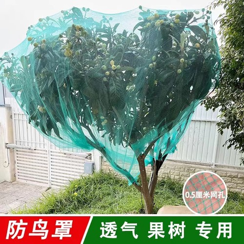 果树防鸟网罩嘉宝树无花果樱桃桃树防护防鸟网防冰U雹网果园防鸟