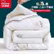 蚕TKK丝被子母一被大二合拉链款 豆纤维被芯全学生宿舍被子棉四季