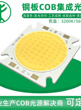 功COB源LEDWLS-4246灯珠CO率B影视灯大珠光300WCOB