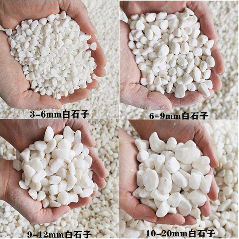 路性面装饰地观20210408赏缸庭院白色鱼白石子花园土壤小石头面个