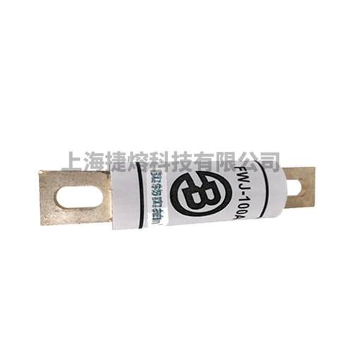 FWJ-10A件FWJ-100A圆柱形0快速熔断器保险丝电子元器量大价优