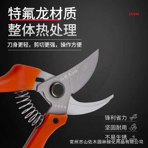 31E848园林工修具剪枝枝剪园林修剪户外树多规格果枝树枝剪树枝剪