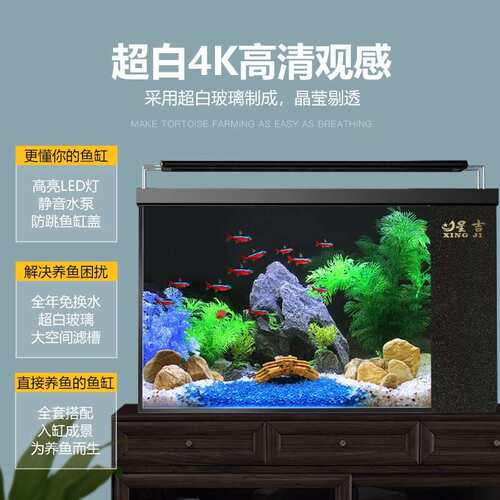 小鱼缸客厅超型免换水家用侧滤490水族箱生态自循环桌面白缸乌龟造景