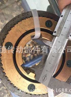 DLY5-5A带滑环牙嵌式电磁离器/合式D合DLY5-5ALY5-5A/DC22啮4V-2W